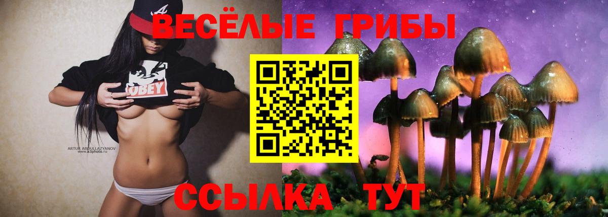 Галлюциногенные грибы ЛСД  Вход с VPN  Екатеринбург 